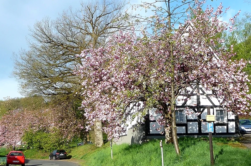 Ferien in Freudenberg - Airbnbfreudenberg.de